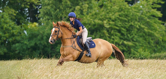 Person riding a horse
