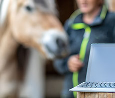 Equestrian apps every horse owner needs to try