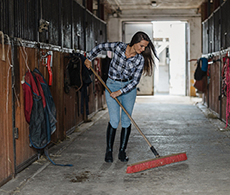 Unexpected equestrian items: 15 unusual must-haves for every stable yard