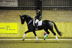 Advanced Medium Retricted Winner Lea Gray