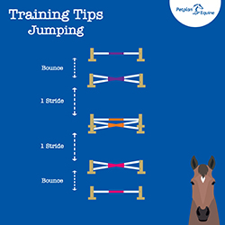 Grid Work Exercises: The Bounce Grid img