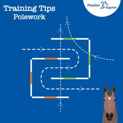 Pole Work Exercises: The Interlocking S-Bend img