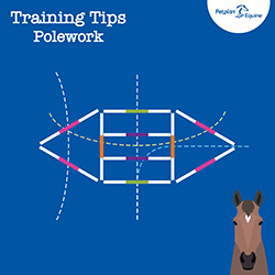 Pole Work Exercises: The Two Points img