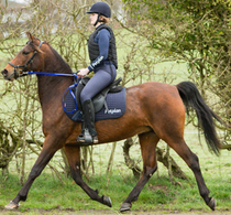 How to improve your rider mindset